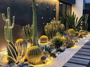 Kamien dekoracyjny THASSOS PERŁOWY 4 – Hurtownia Kamienia El-Pol