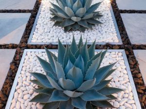 Kamien dekoracyjny THASSOS PERŁOWY 24 – Hurtownia Kamienia El-Pol